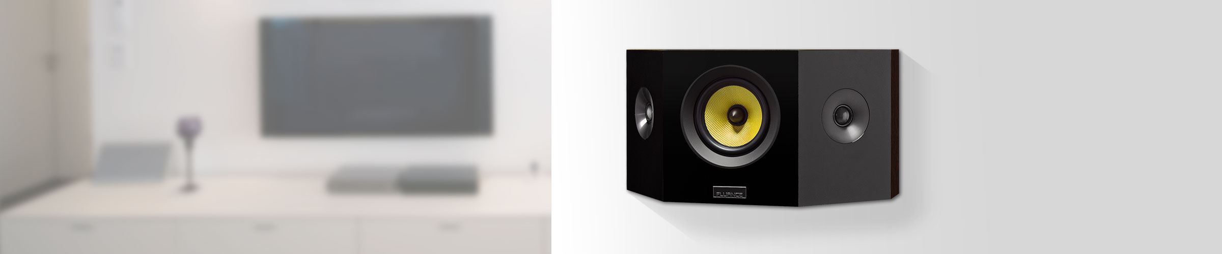 Signature Series Bipolar speakers- intro