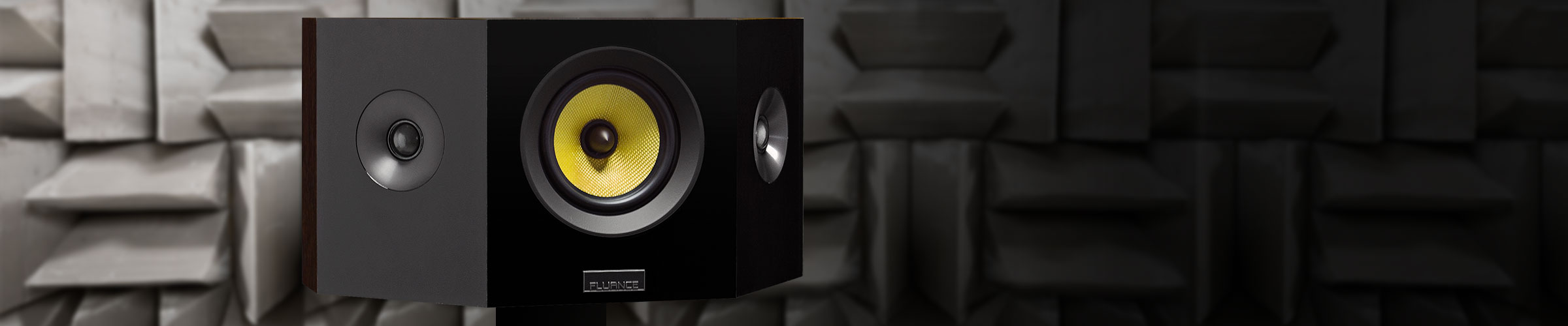 Signature Series Bipolar speakers- midrange