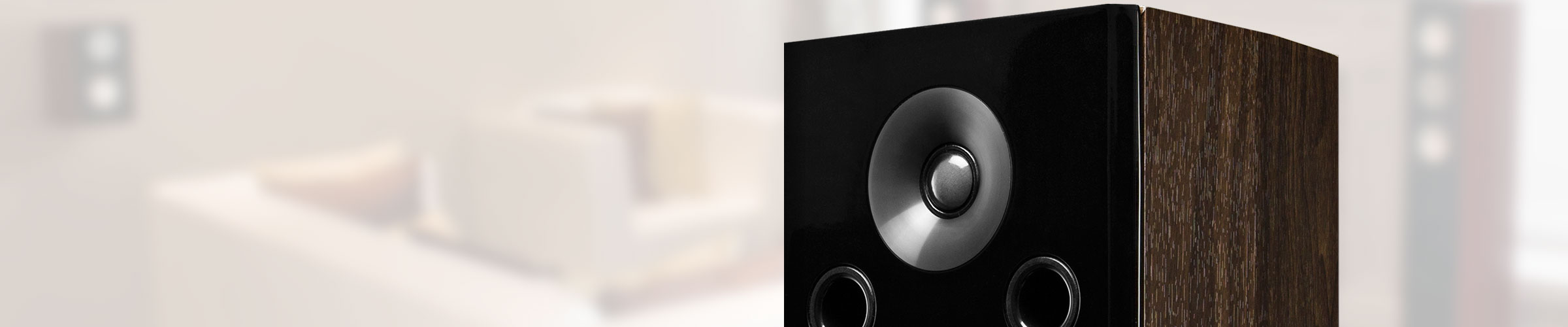 Fluance signature series surround sound speakers tweeters